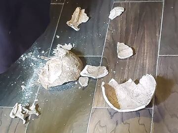 INAH promoverá denuncia penal por destrucción de cráneo en Cholula