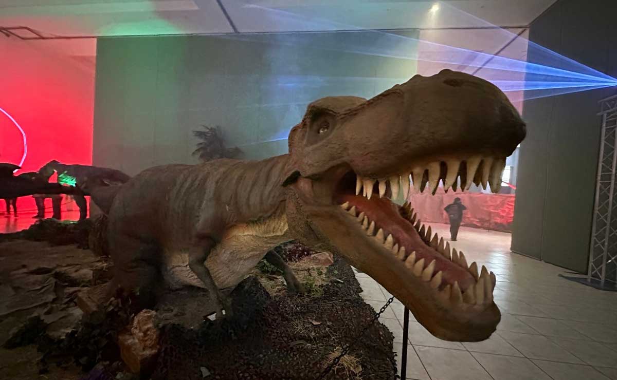5 lugares para ver dinosaurios en Puebla | El Universal Puebla