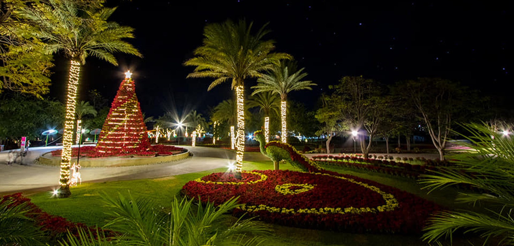 Jardines de México ofrece tours nocturnos por las fiestas decembrinas